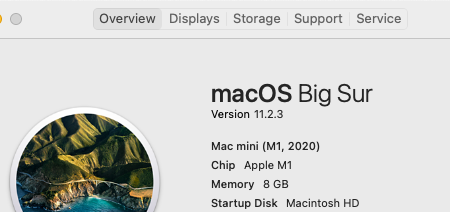 Info über diesen Mac mit Mac Mini M1 und 8 GB RAM
